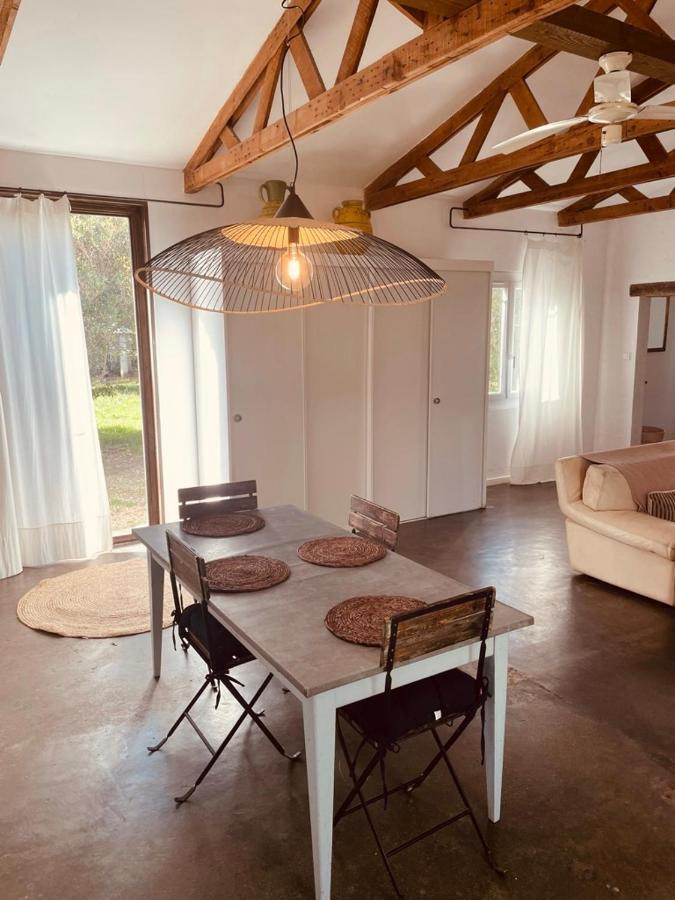Casa Cote Sud - Mas Bois Fontaine Villa Nîmes Kültér fotó