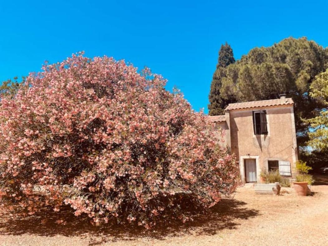 Casa Cote Sud - Mas Bois Fontaine Villa Nîmes Kültér fotó